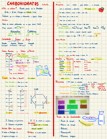 QUIMICA.pdf