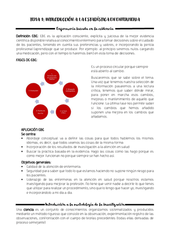 temario-completo-estadistica.pdf