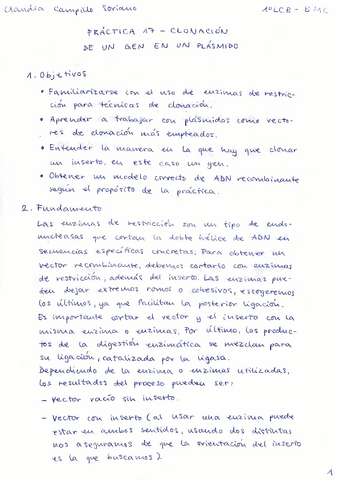 Memoria de prácticas RA7.pdf