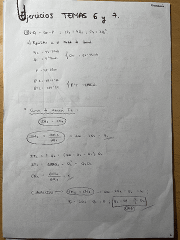 MICRO.-Ejercicios-TEMAS-6-y-7.pdf
