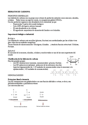 HIDRATOS-DE-CARBONO.pdf
