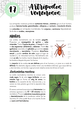 Tema-17.-Artropodos-venenosos.pdf