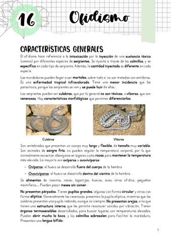 Tema-16.-Ofidismo.pdf
