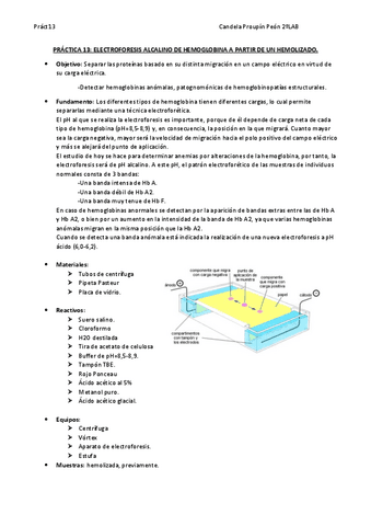 Pract13ElectroforesisCandelaP.pdf