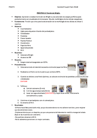 Pract3T.WrightCandelaP.pdf