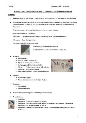 Pract6RecuentCandelaP-1.pdf