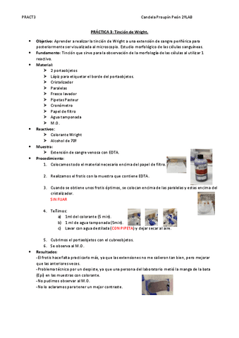 Pract3T.WrightCandelaP.pdf