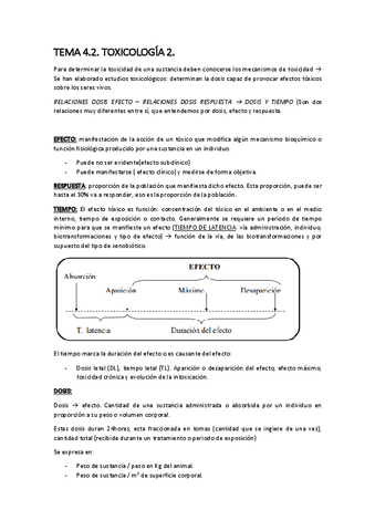 TEMA-4.2.pdf