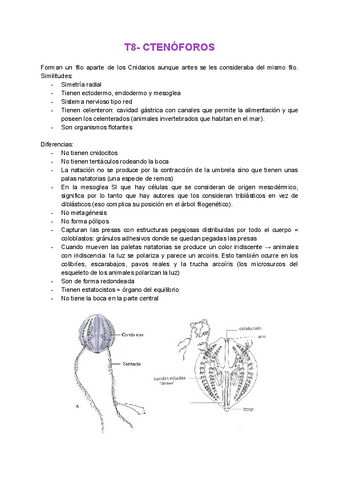 T8-Ctenoforos.pdf