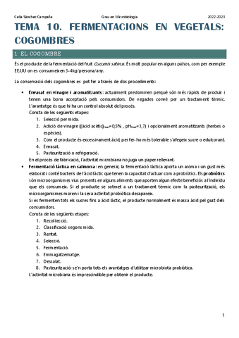 Tema-10.-Fermentacions-en-vegetals-cogombres.pdf