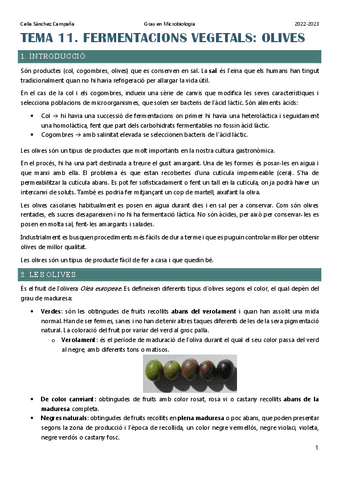 Tema-11.-Fermentacions-en-vegetals-olives.pdf