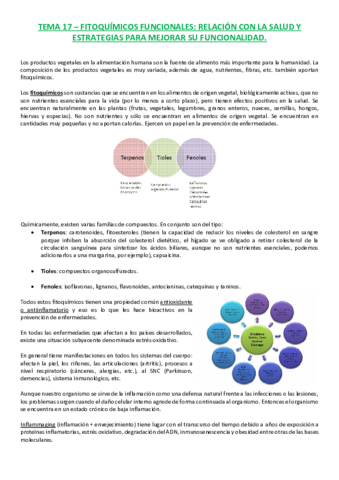 T17 Fitoquímicos funcionales.pdf