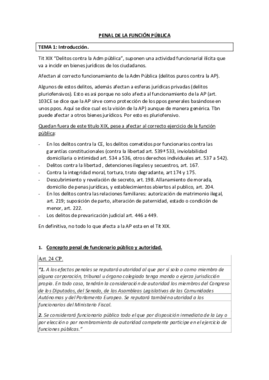 TEMARIO COMPLETO.pdf