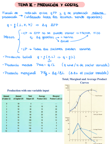 Apuntes-micro-tema-3-y-4.pdf