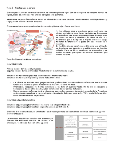 Puntos-importantes-Fisiologia-Tema-6-y-7.pdf
