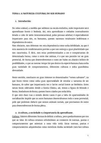 apuntes-IFE-1.pdf