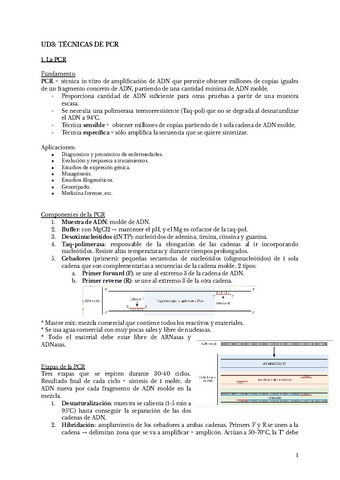 UD3-TECNICAS-DE-PCR-Resumen-ESP.pdf