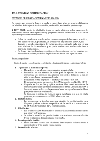 UD 5 TEC. HIBRIDACIÓN MEDIO SÓLIDO (ESP).pdf