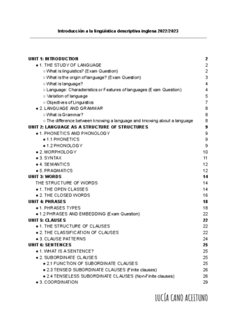 Temas-desarrollados-ILDI.pdf