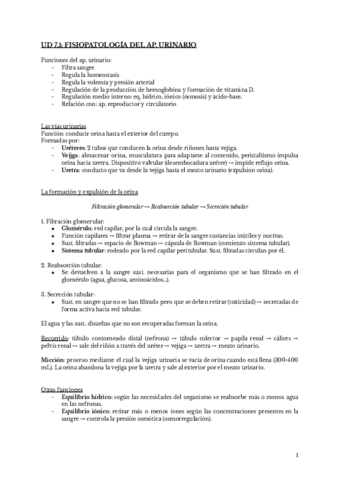 UD-71-FISIOPATOLOGIA-DEL-AP-URINARIO-ESP.pdf