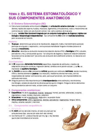 Tema-2-SE-componentes-anatomicos.pdf