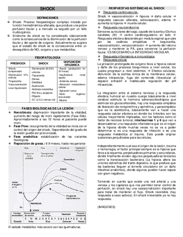 SHOCK-Y-HEMOSTASIA.pdf