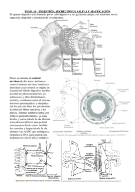Apuntes Fisiología I temas aparato digestivo.pdf