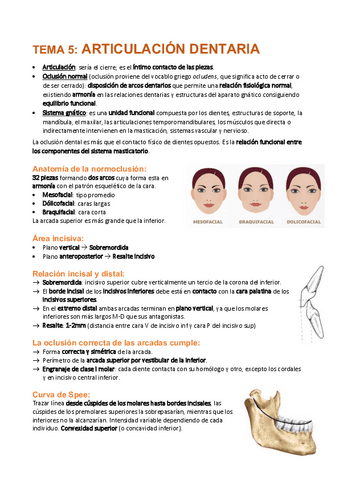 Tema-5-Articulacion-dentaria.pdf