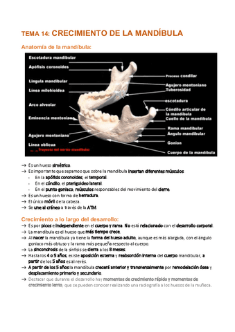 Tema-14-Crecimiento-mandibula.pdf