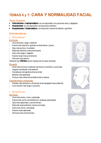 Temas-6-y-7-Normalidad-facial.pdf
