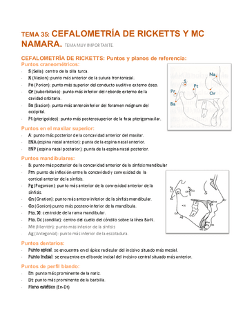 Tema-35-Cefalometria-Rickets-y-McNamara.pdf