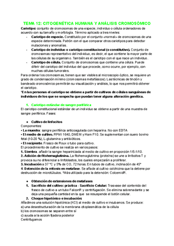 Tema-12-citogenetica-humana-y-analisis-cromosomico.pdf