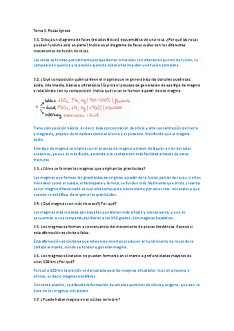 questionaris-parcial-2-resolts-tema-4567.pdf