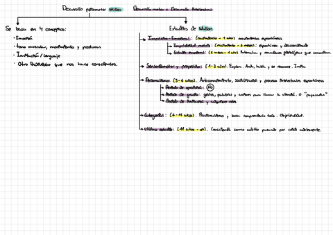 Esquema-Wallon.pdf