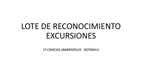 LOTE-DE-RECONOCIMIENTO-EXCURSIONES.pptx.pdf