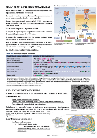 BIOLOGIA-MOLECULAR-TEMA-7-DESTINO-Y-TRAFICO-INTRACELULAR.pdf