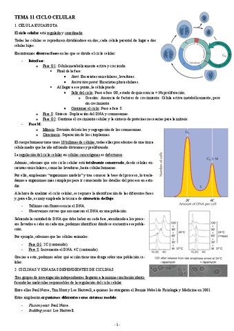 BIOLOGIA-MOLECULAR-TEMA-11-CICLO-CELULAR.pdf