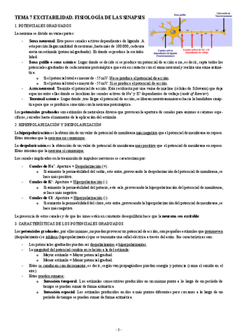 FISIOLOGIA-I-TEMA-7-EXCITABILIDAD.-FISIOLOGIA-DE-LA-SINAPSIS.pdf