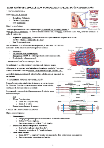 FISIOLOGIA-I-TEMA-8-MUSCULO-ESQUELETICO.-ACOMPLAMIENTO-EXCITACION-CONTRACCION.pdf