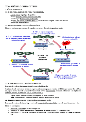 FISIOLOGIA-I-TEMA-9-MUSCULO-CARDIACO-Y-LISO.pdf