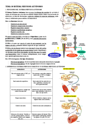 FISIOLOGIA-I-TEMA-10-SISTEMA-NERVIOSO-AUTONOMO.pdf