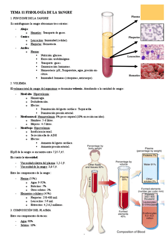 FISIOLOGIA-I-TEMA-11-FISIOLOGIA-DE-LA-SANGRE.pdf
