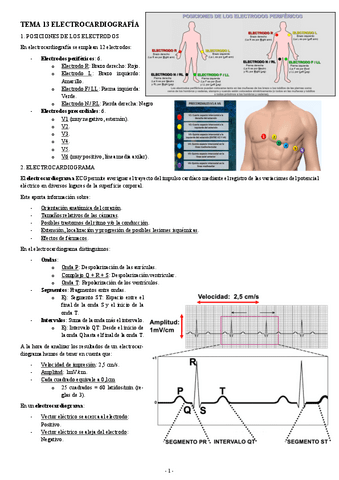 FISIOLOGIA-I-TEMA-13-ELECTROCARDIOGRAFIA.pdf