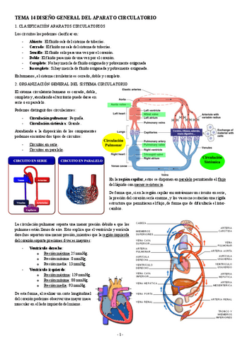 FISIOLOGIA-I-TEMA-14-DISENO-GENERAL-DEL-APARATO-CIRCULATORIO.pdf
