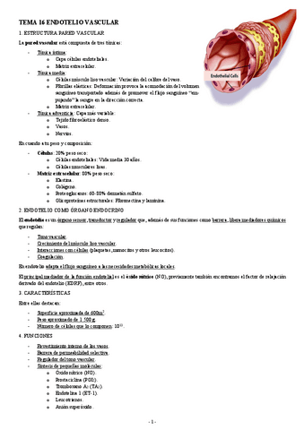 FISIOLOGIA-I-TEMA-16-ENDOTELIO-VASCULAR.pdf