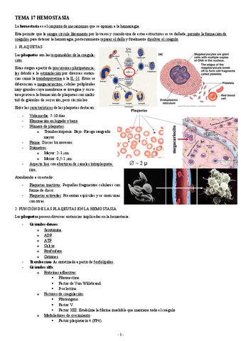 FISIOLOGIA-I-TEMA-17-HEMOSTASIA.pdf