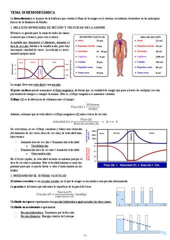 FISIOLOGIA-I-TEMA-18-HEMODINAMICA.pdf