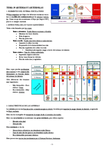 FISIOLOGIA-I-TEMA-19-ARTERIAS-Y-ARTERIOLAS.pdf