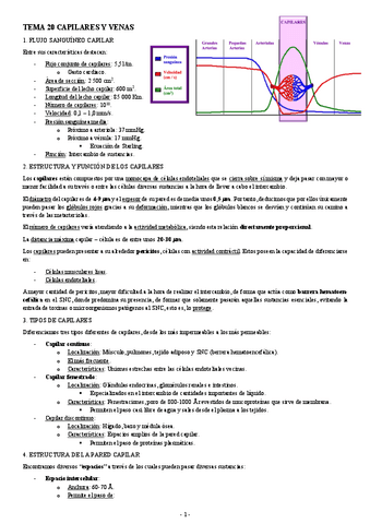 FISIOLOGIA-I-TEMA-20-CAPILARES-Y-VENAS.pdf