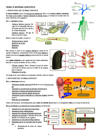FISIOLOGIA-I-TEMA-22-SISTEMA-LINFATICO.pdf